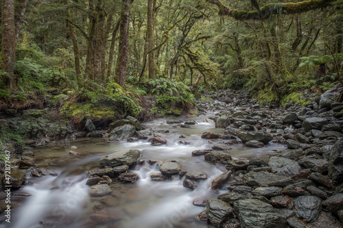 New Zealand