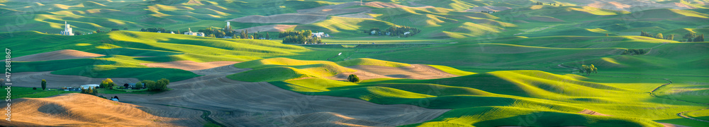 Fototapeta premium USA, Washington State, Palouse panorama