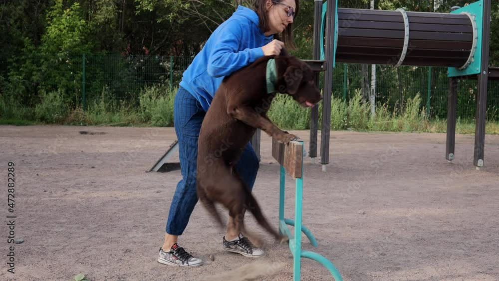 a-woman-and-a-chocolate-retriever-on-the-playground-are-engaged-in-dog