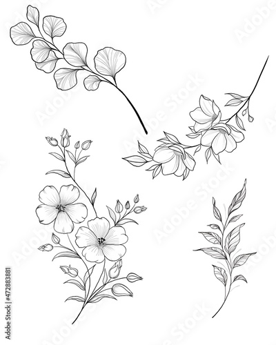 Hand drawn branch of sakura with blooms  flowers  leaves  petals. Modern line art style. Botanical composition for card  invitation  logo  fabric print.