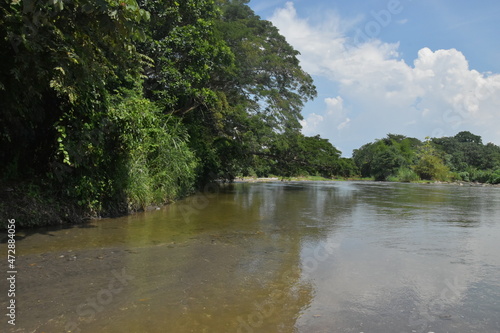 rio con arboles grandes y nubes en el cielo azul