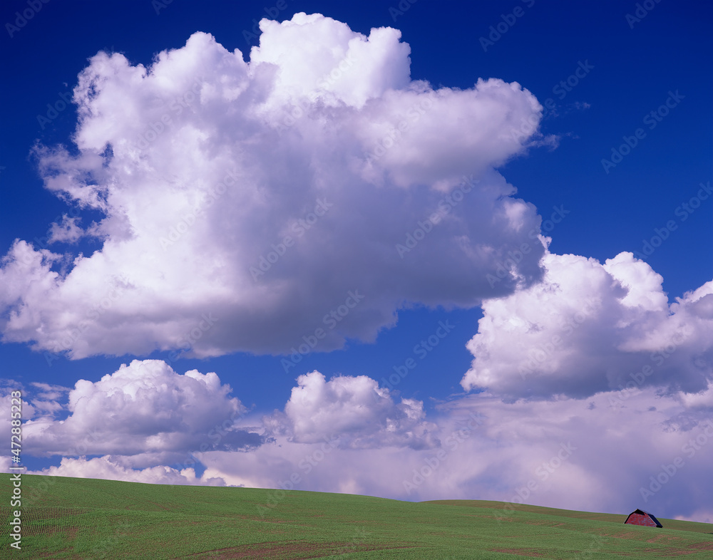 Washington State, Whitman County, Palouse, Barn and clouds Washington State, Whitman County, Palouse, Barn and clouds