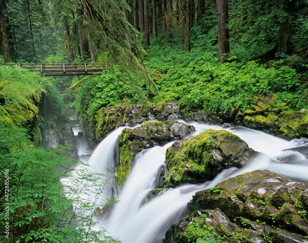 Washington State, Olympic National Park, Sol Duc Falls with bridge over Sol Duc River