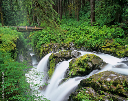 Washington State  Olympic National Park  Sol Duc Falls with bridge over Sol Duc River