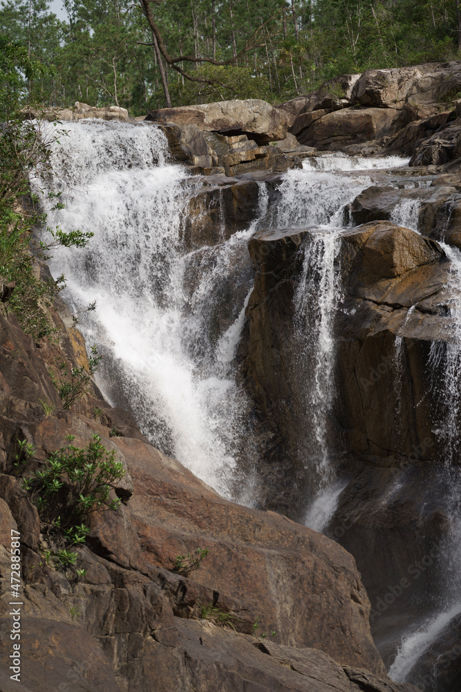 Naklejka premium waterfall in the forest
