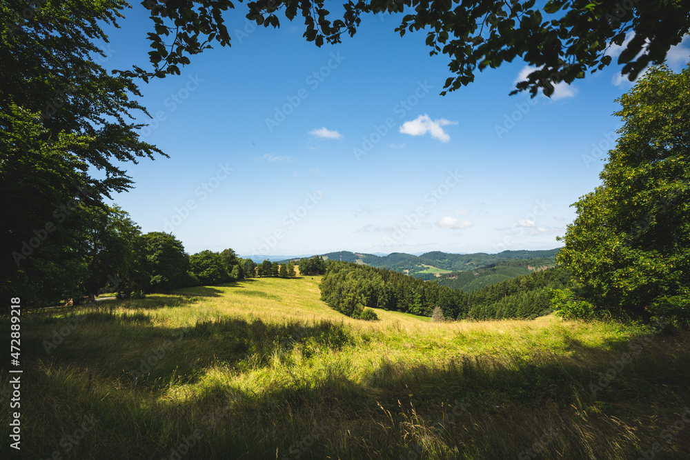 Obraz premium Blick auf Buchborn bei Floh-Seligenthal im Thüringer Wald im Sommer