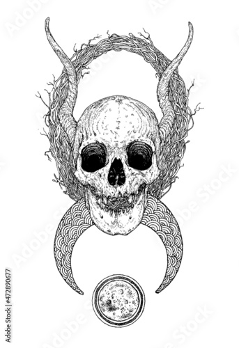Hand-drawn skull with horns and blackthorn