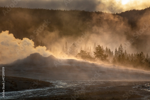Old Faithful steaming in early morning, Upper Geyser Basin, Yellowstone National Park, Wyoming
