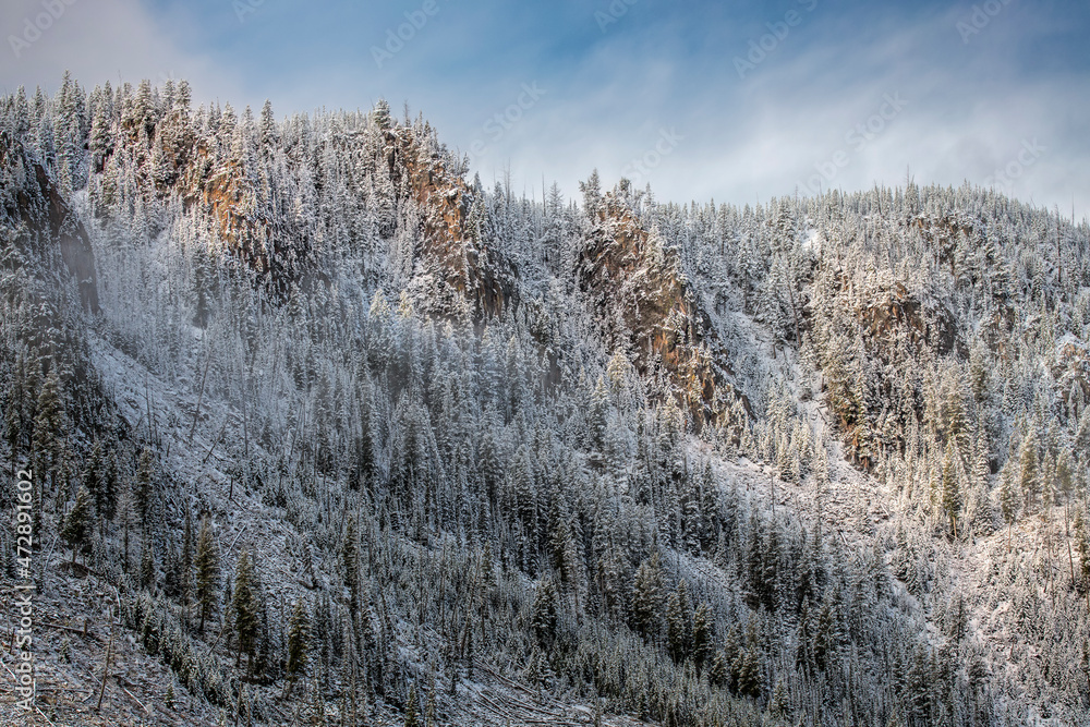 Morning light on early autumn snow along Madison River, Yellowstone National Park, Wyoming Morning light on early autumn snow along Madison River, Yellowstone National Park, Wyoming