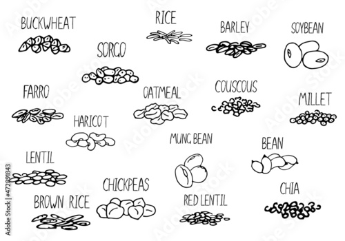 Vector hand drawn set of cereals  beans with their names. Black and white illustration for store decoration  grocery shop concept. Illustration can be used for sold by weight food