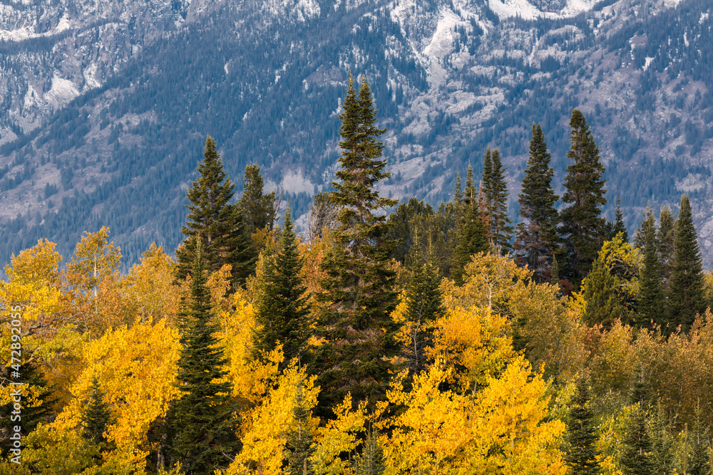 Autumn sunrise view of Teton Range, Grand Teton National Park, Wyoming