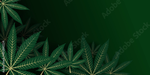 Cannabis leaves are composed in a layout with empty space in the top corner for titles or headlines. Marihuana, Sativa, and Indica leaf over each other with depth perspective. Use as a header, banner 
