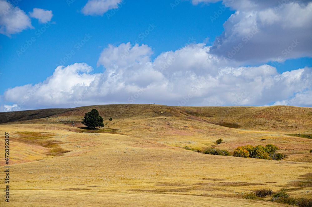 Obraz premium USA, Wyoming, Beulah pastoral scenic