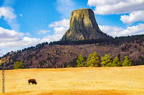 USA, Wyoming, Sundance, Devil's Tower National Monument, Devil's Tower and grazing bison photo