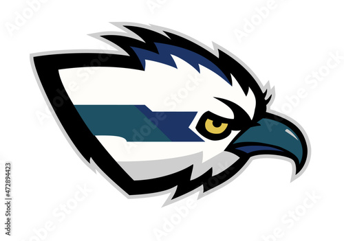 Seahawk or osprey for sports team mascot photo