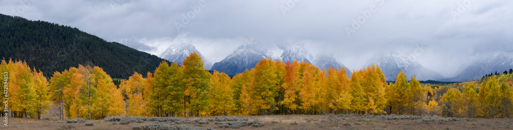 USA, Wyoming. Panoramic. Snow covered Teton Range in the clouds with colorful autumn foliage, Grand Teton National Park.