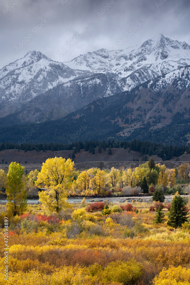 USA, Wyoming. Colorful autumn foliage and Snake River, Grand Teton National Park.