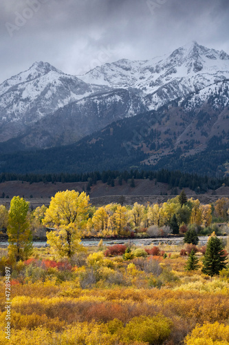 USA, Wyoming. Colorful autumn foliage and Snake River, Grand Teton National Park.