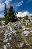 USA, Wyoming. Alpine zone vista of boulders with clouds, Beartooth Pass.