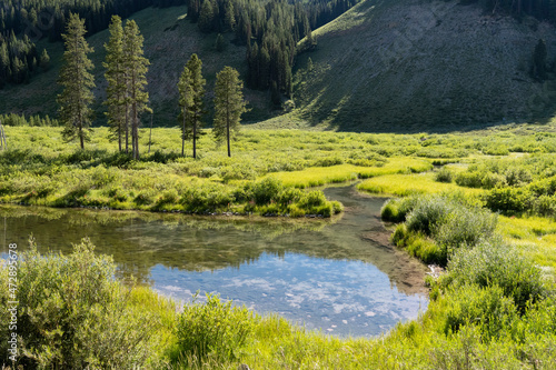 USA, Wyoming. Meandering stream and lush vegetation, Bridger Teton National Forest.