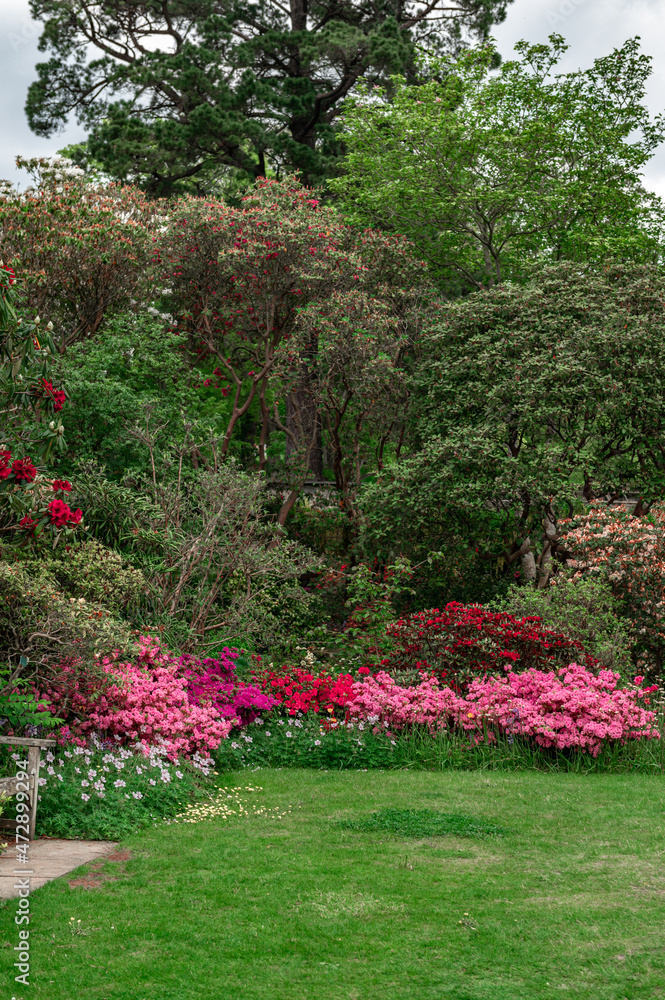Garden with blooming trees during spring time