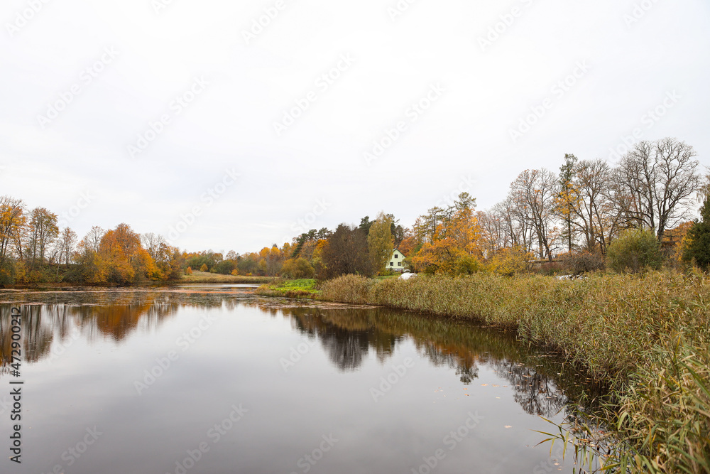 Natural countryside autumn view of small lake with lovely yellow and orange trees around.