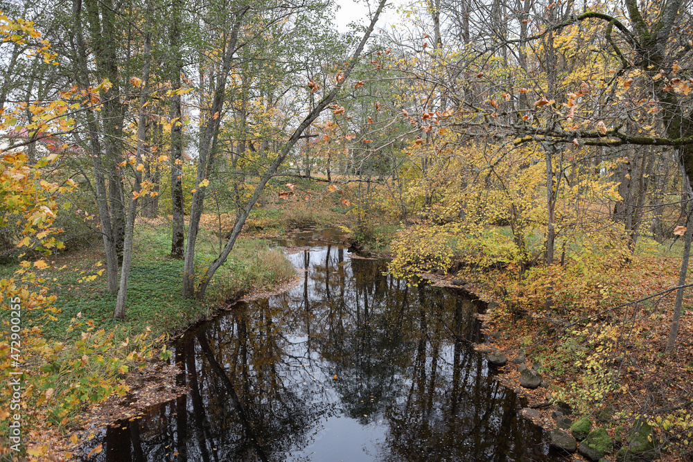 Beautiful natural autumn view of small river flowing through forest in autumn.