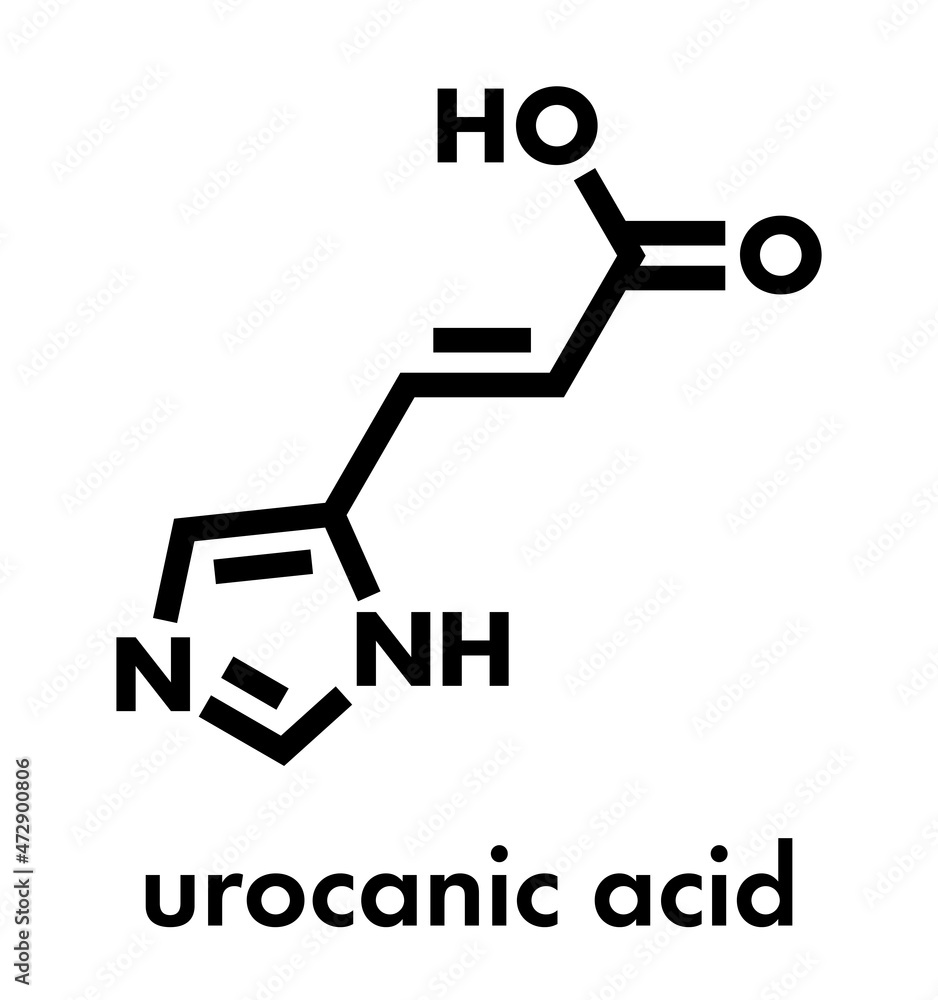 Urocanic acid molecule. Breakdown product of histidine. Skeletal formula. Urocanic acid molecule. Breakdown product of histidine. Skeletal formula.