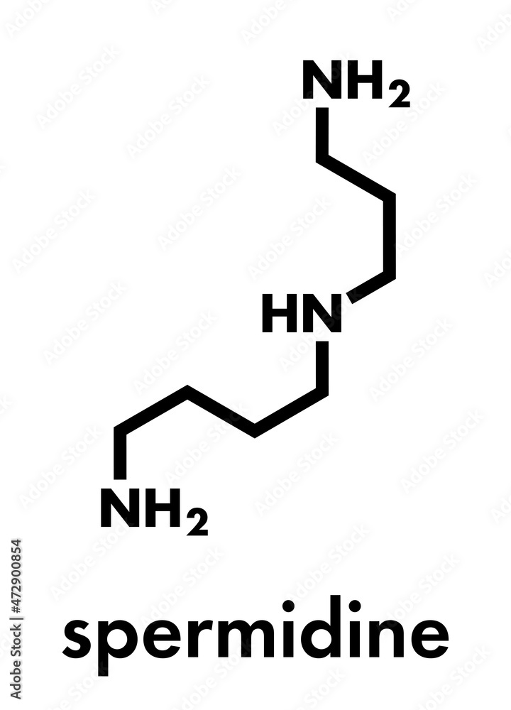 Spermidine molecule. Skeletal formula. Spermidine molecule. Skeletal formula.