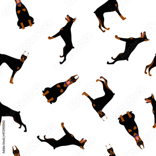 Seamless pattern from a set of poses of the Doberman Pinscher dog breed. Vector illustration of fabric design