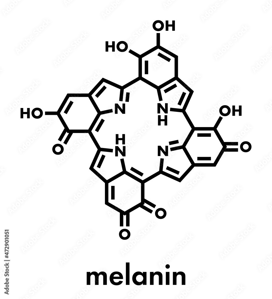 Melanin (eumelanin), proposed oligomeric structure model. Primary determinant of skin color. Skeletal formula. Melanin (eumelanin), proposed oligomeric structure model. Primary determinant of skin color. Skeletal formula.
