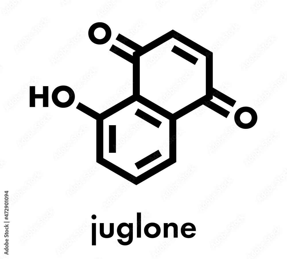 Juglone walnut molecule. Skeletal formula. Juglone walnut molecule. Skeletal formula.