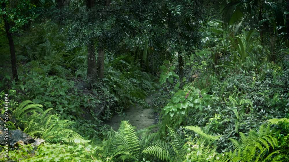 Light rain in lush tropical garden stream Light rain in lush tropical garden stream