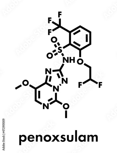Penoxsulam herbicide molecule. Skeletal formula. photo