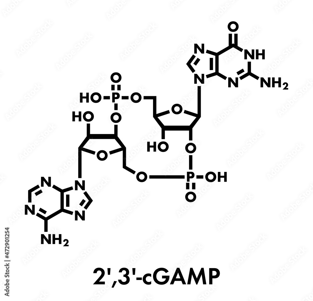 Obraz premium Cyclic guanosine monophosphate–adenosine monophosphate (2',3'-cGAMP) molecule. Skeletal formula.