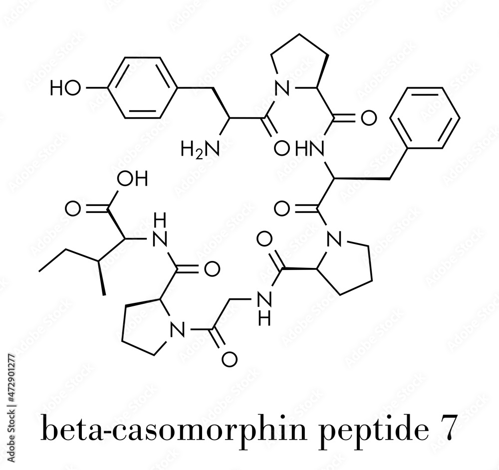Beta-casomorphin peptide 7 molecule. Breakdown product of casein that may play a role in human diseases. Skeletal formula.