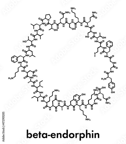 Beta-endorphin endogenous opioid peptide molecule. Skeletal formula.