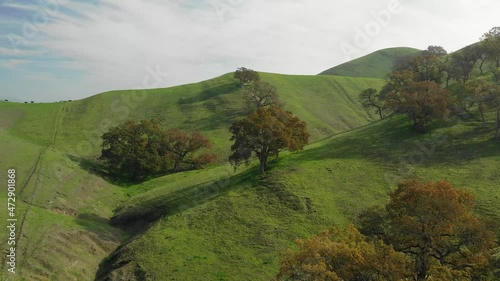 landscape with green grass and blue sky drone aerial California