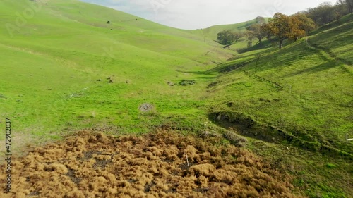 landscape with green grass and blue sky drone aerial California