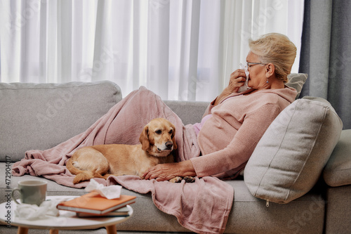 Sick elderly woman on sofa with her small dog, caughing and blowing running nose, suffering from seasonal flu or cold. Ill senior feel unhealthy with influenza at home photo