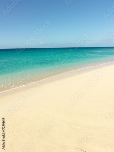 南の島のトロピカルなビーチ