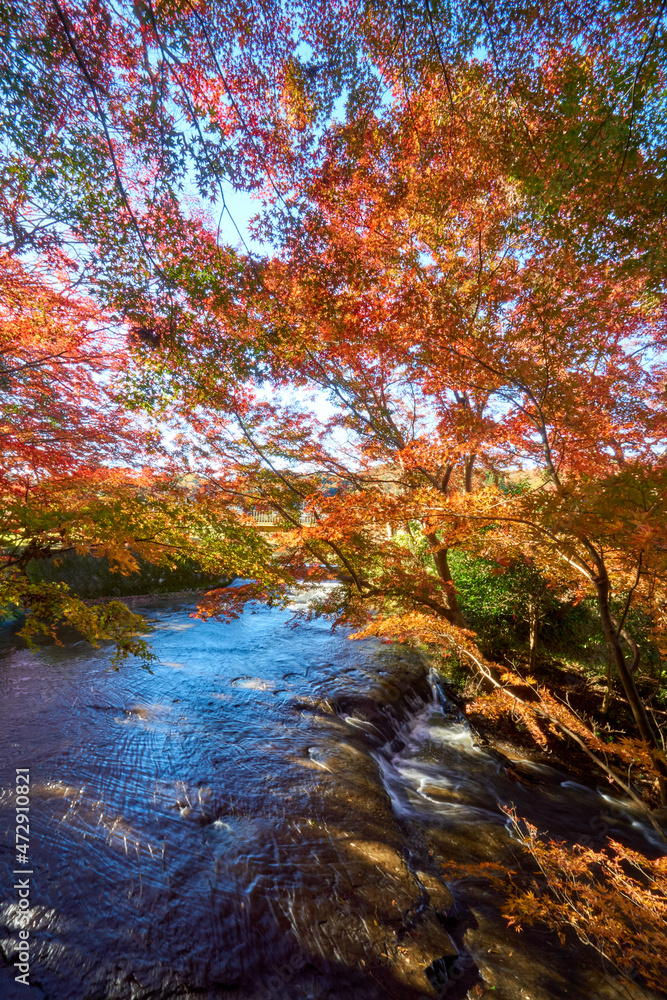 くらもち滝の紅葉 長生郡 くらもち滝の紅葉 長生郡