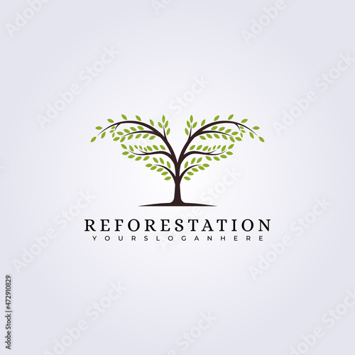 reforestation evergreen green forest logo vector illustration design