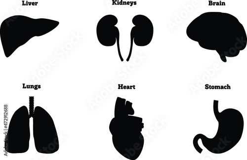 Icons Set of human organs. Human anatomy