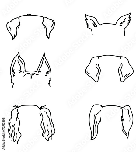 dog ears