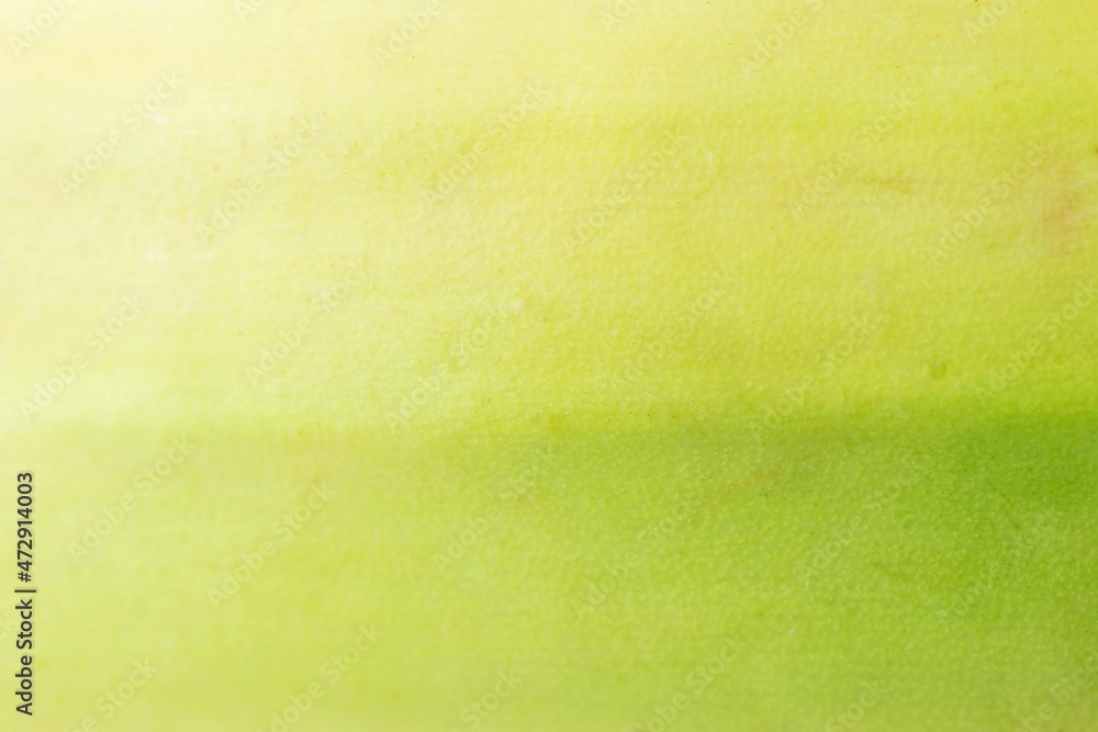 beautiful abstract green background texture beautiful abstract green background texture