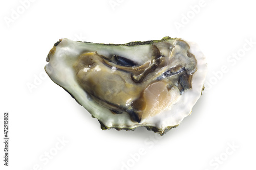 Opened oyster shell isolated on white background.