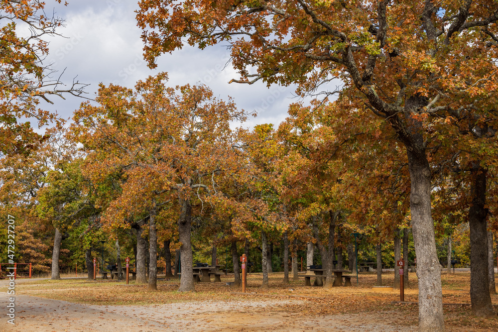 Naklejka premium Fall color of the Osage Hills State Park