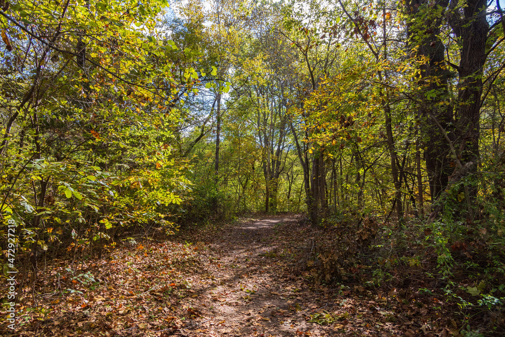 Fall color of the Osage Hills State Park Fall color of the Osage Hills State Park