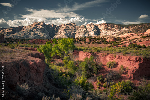 The beautiful view cloudy sky, red and green canyon in Colorado. The incredibly colorful background